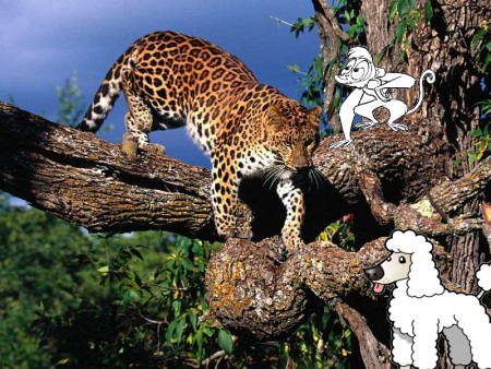Terreur des léopards.